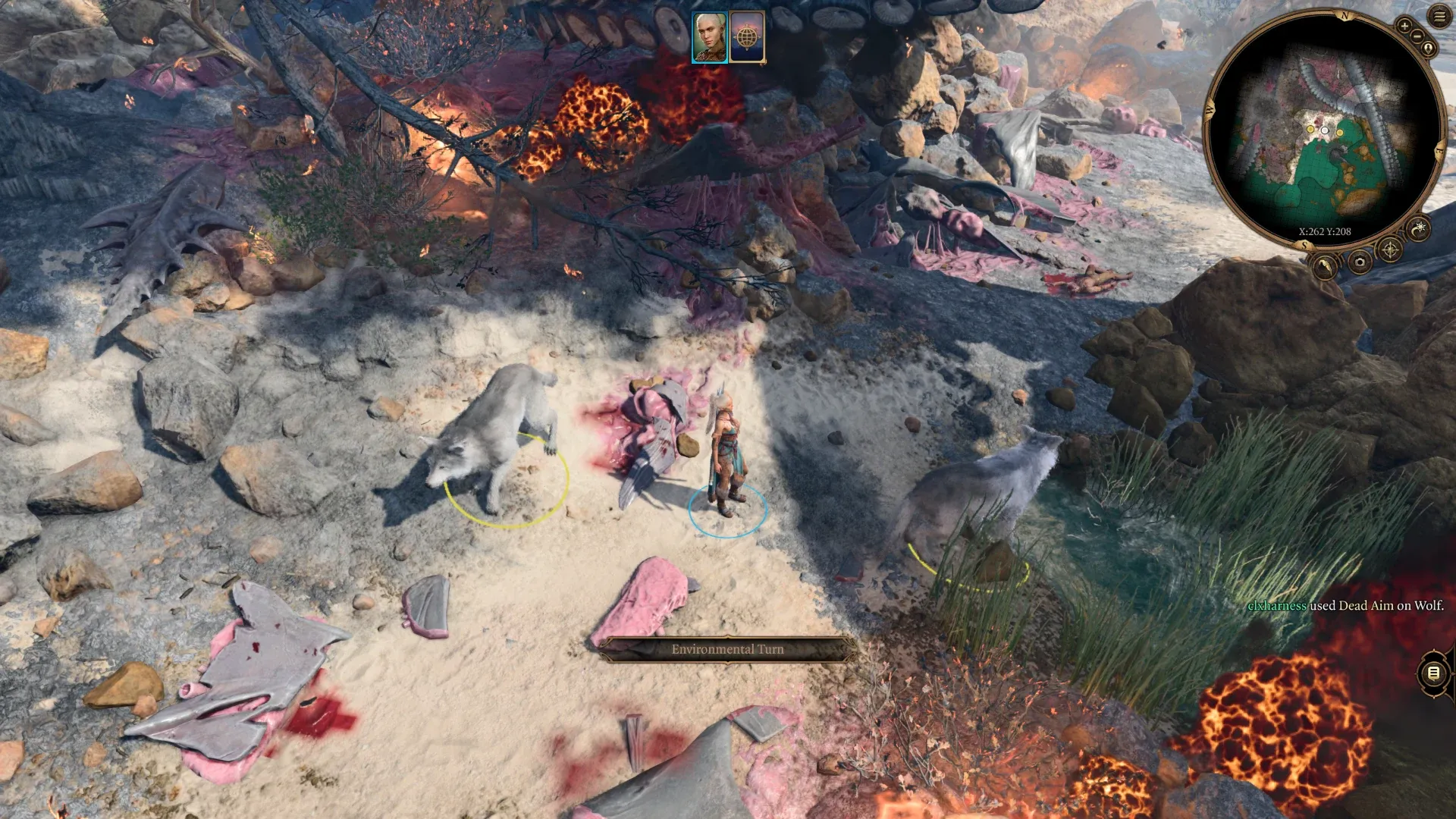 Baldur’s Gate 3 en combate: el registro confirma que el personaje de prueba usó Dead Aim sobre un lobo.
